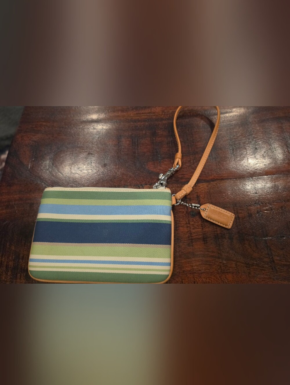 Coach Striped Canvas Wristlet in Green, Blue & Tan